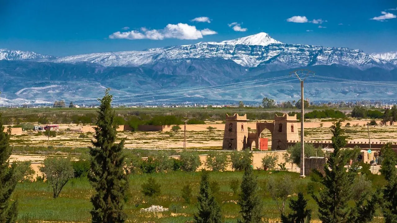 L'Oliveraie De L'Atlas Douar Caid Layadi Guest house